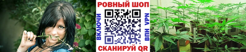 Купить наркотик аптеки Советский Марихуана  Меф  Амфетамин  Гашиш 