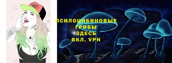 ГАЛЛЮЦИНОГЕННЫЕ ГРИБЫ Аркадак