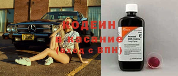 ГАЛЛЮЦИНОГЕННЫЕ ГРИБЫ Аркадак