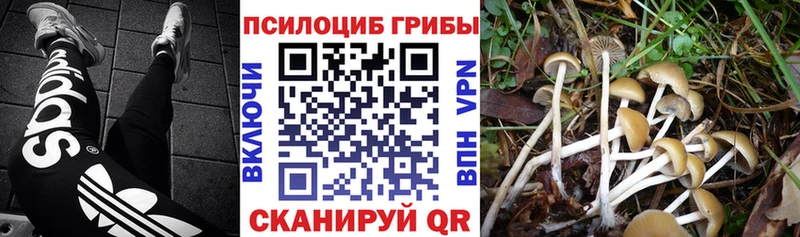 магазин продажи наркотиков Советский Галлюциногенные грибы GOLDEN TEACHER